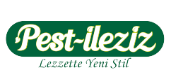 logo_leziz
